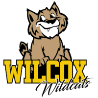 Wildcat Spirit Day!